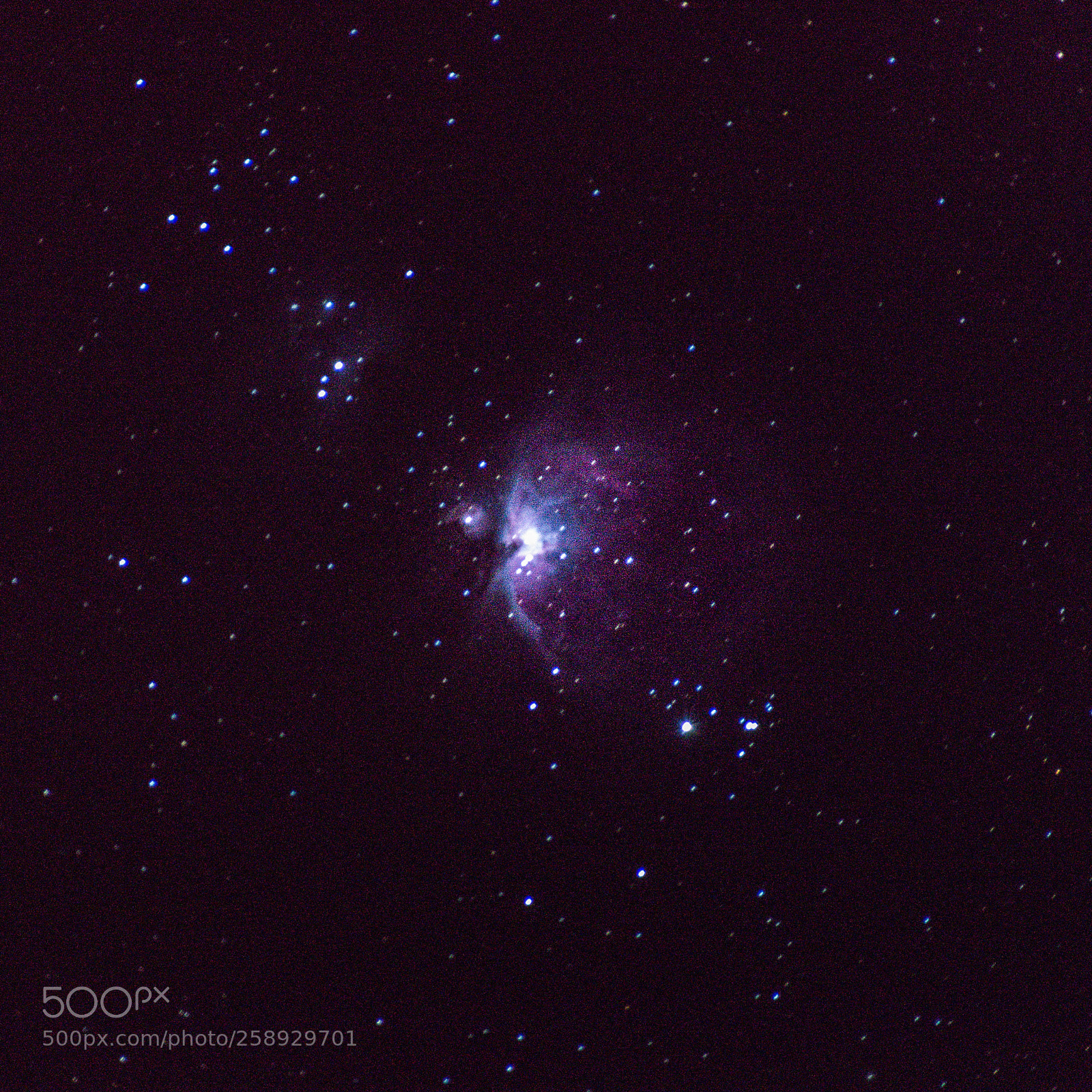 Nikon D5600 sample photo. Orion nebula photography