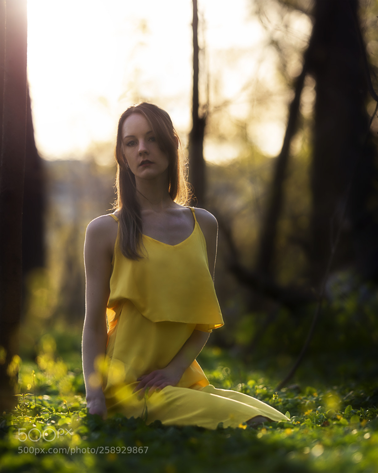 Nikon D750 sample photo. Against a golden backdrop photography