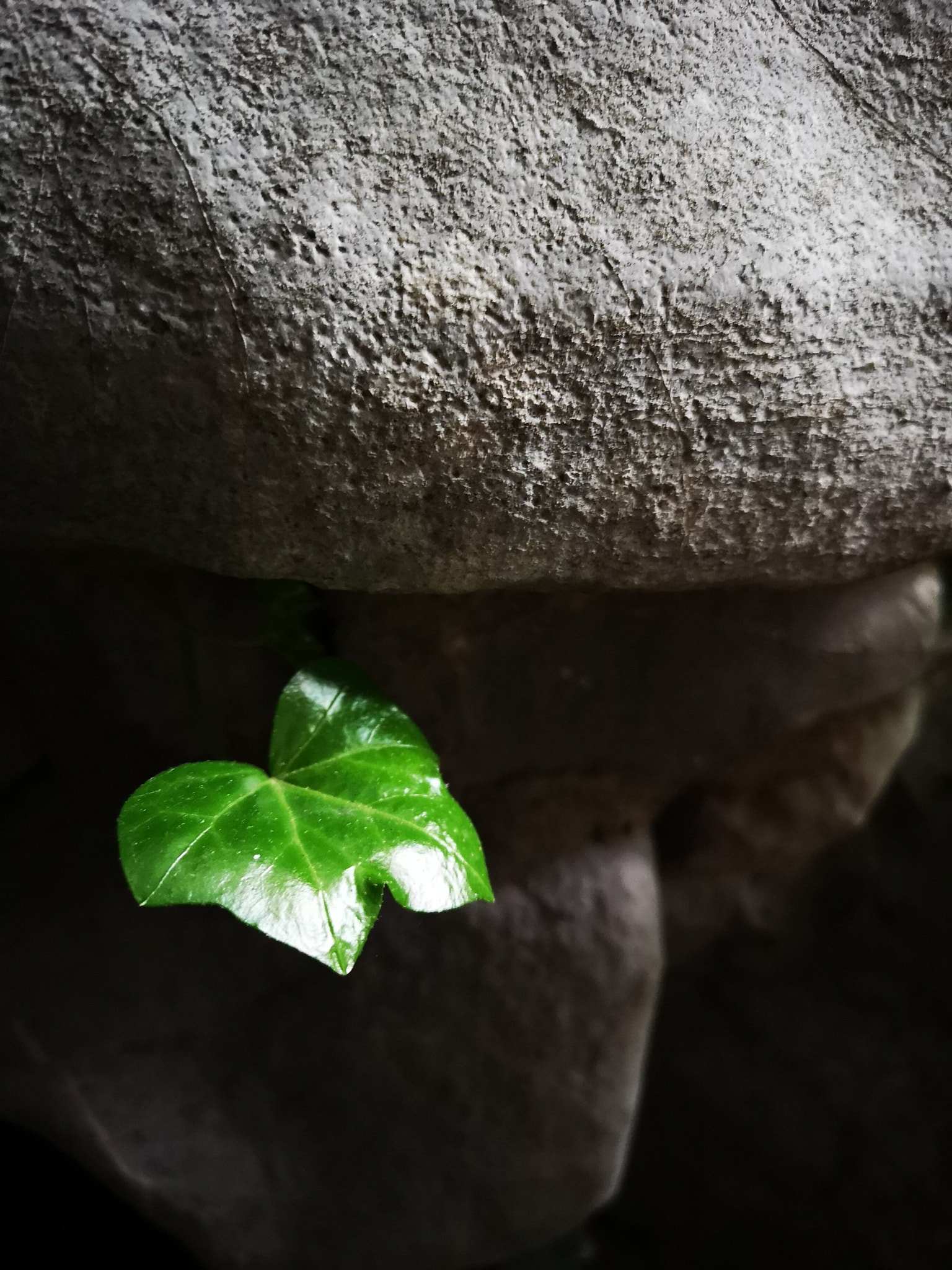 HUAWEI P20 Pro sample photo