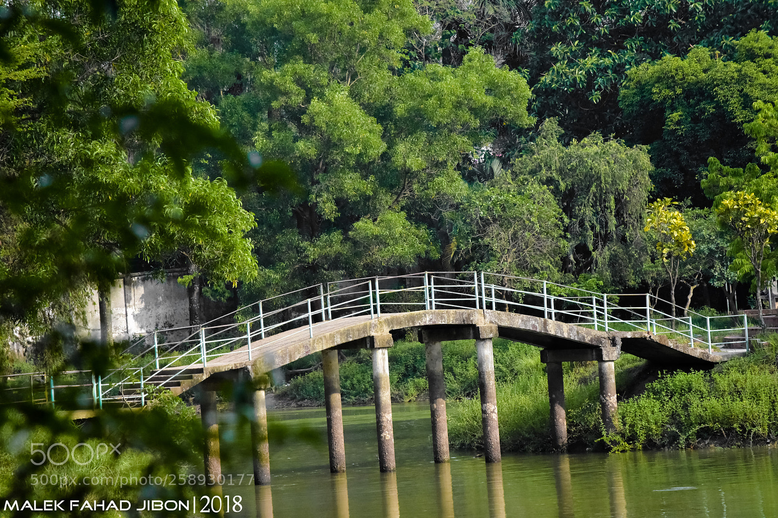 Nikon D7200 sample photo. Untitled photography