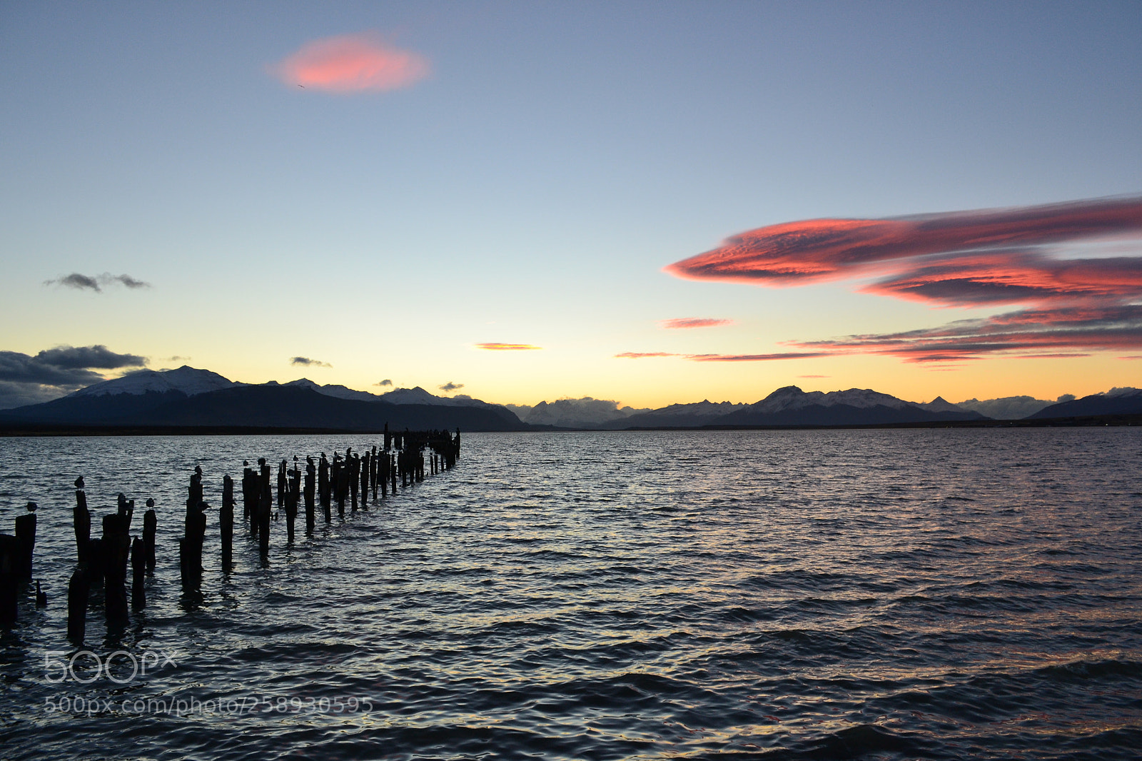 Nikon D3100 sample photo. Oto o puerto natales photography