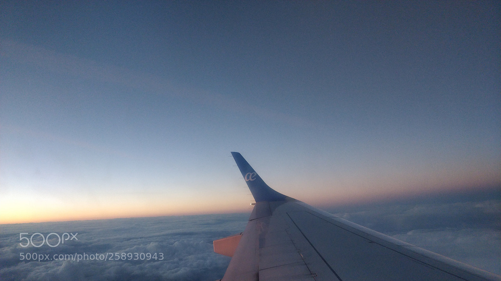 OnePlus 5T sample photo. Up in the air photography