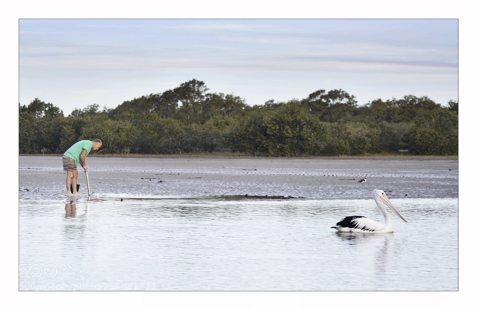 Nikon D7100 sample photo. Nambucca heads nsw 2448 photography