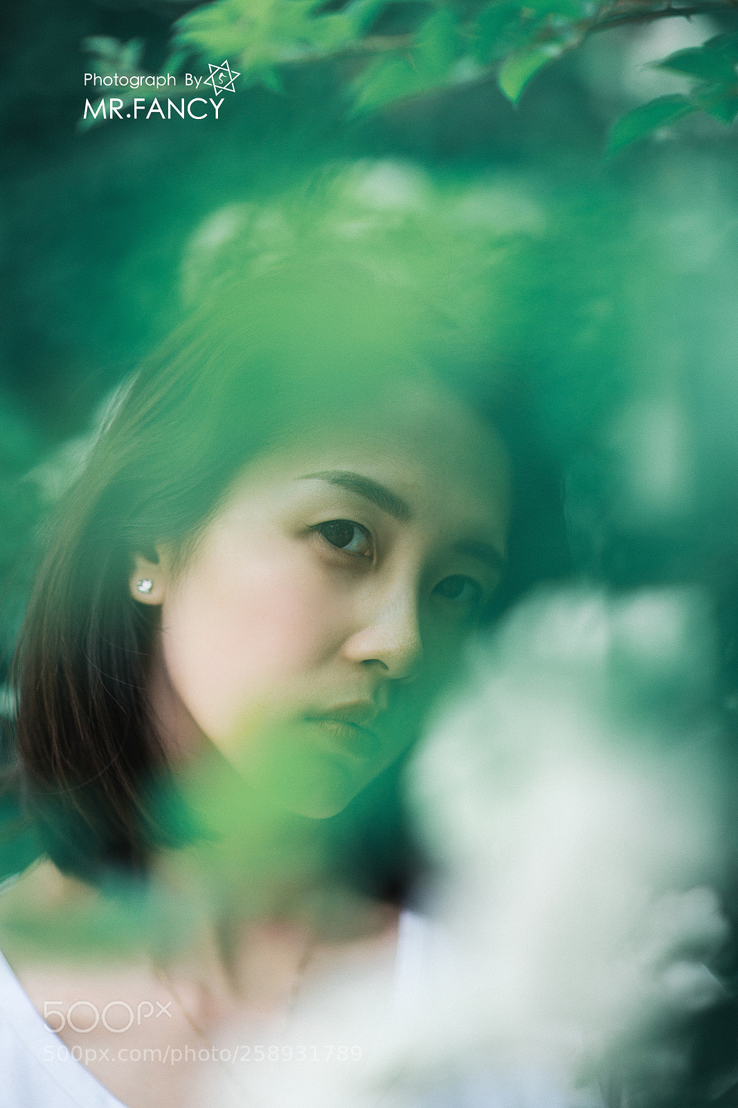 Canon EOS 6D sample photo. Untitled photography