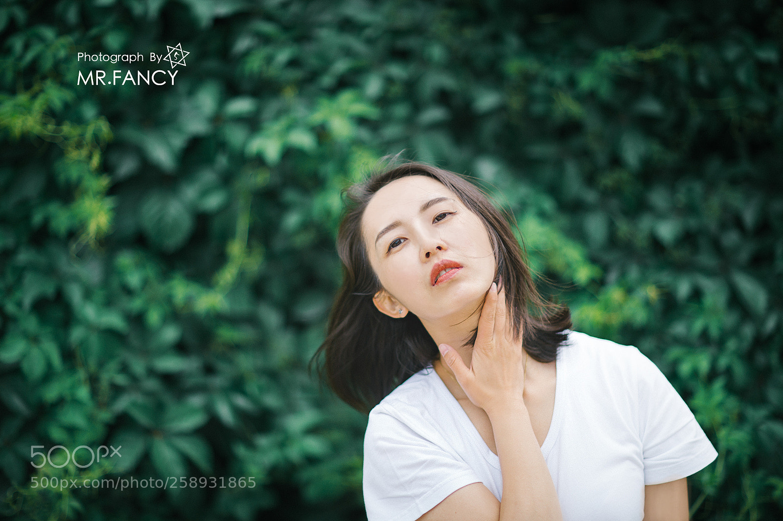 Canon EOS 6D sample photo. Untitled photography