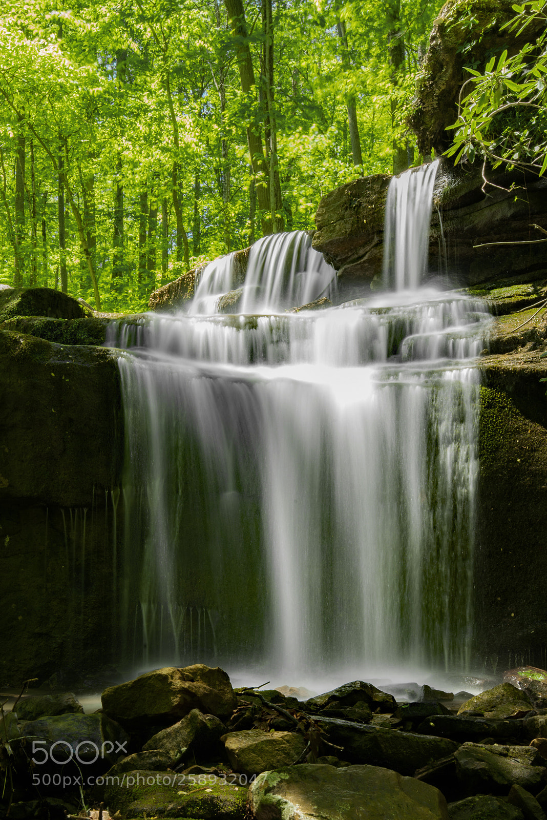 Nikon D750 sample photo. Fletcher falls photography