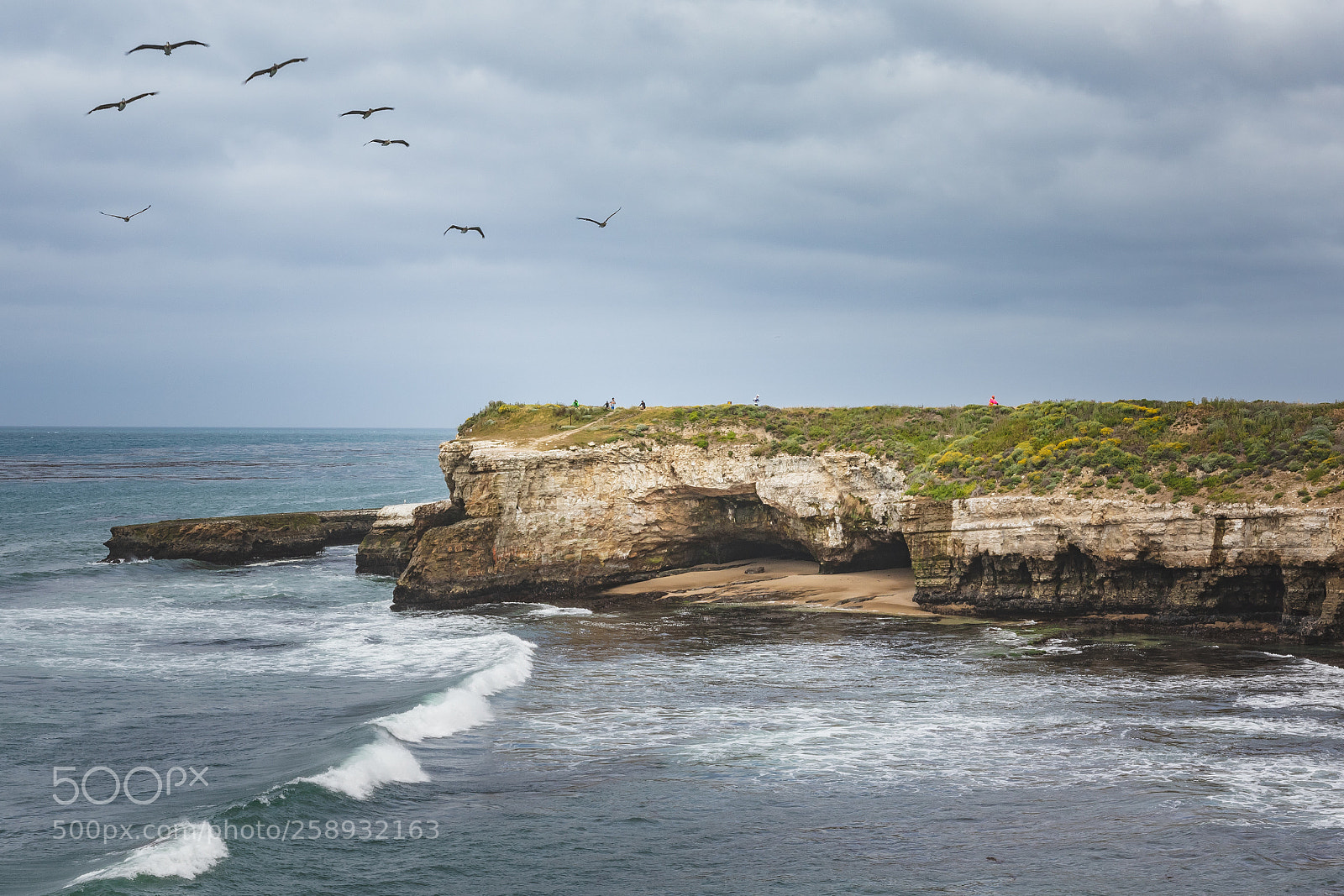 Canon EOS 7D Mark II sample photo. Pelican squadron photography