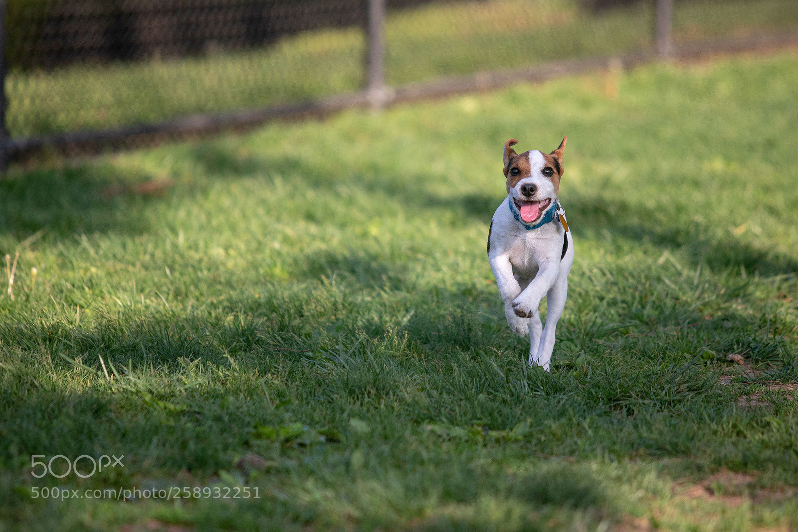 Canon EOS 5D Mark IV sample photo. A photography