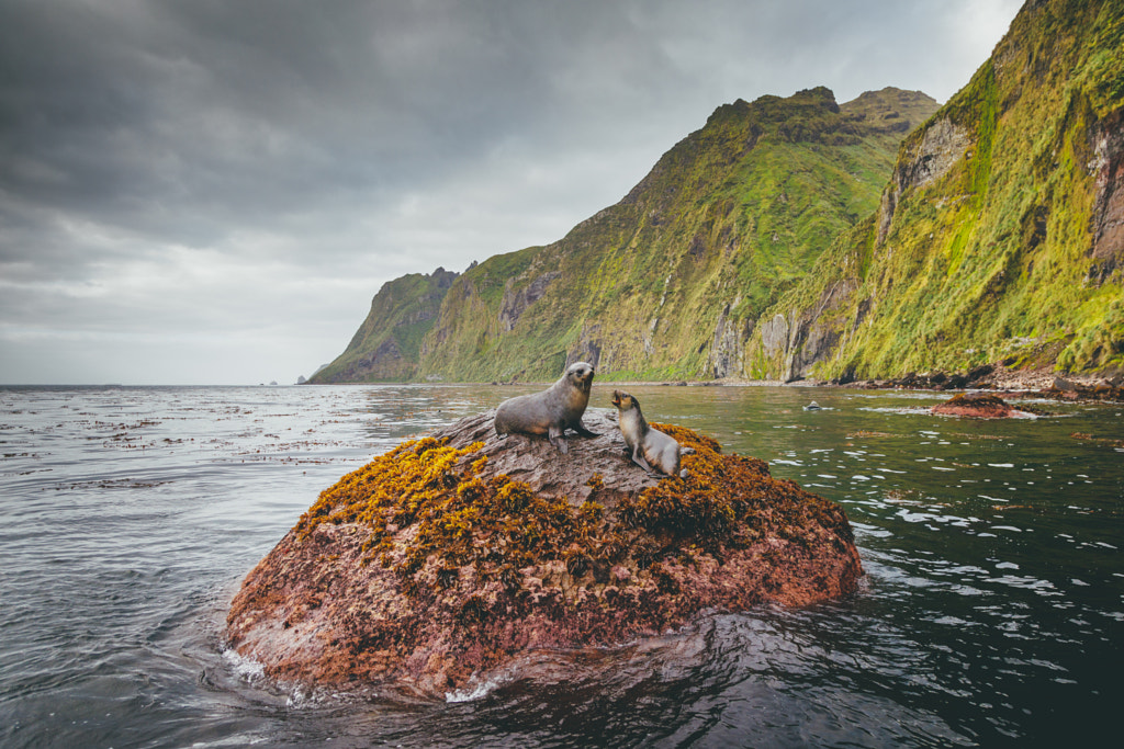 The Rock by David Merron on 500px.com