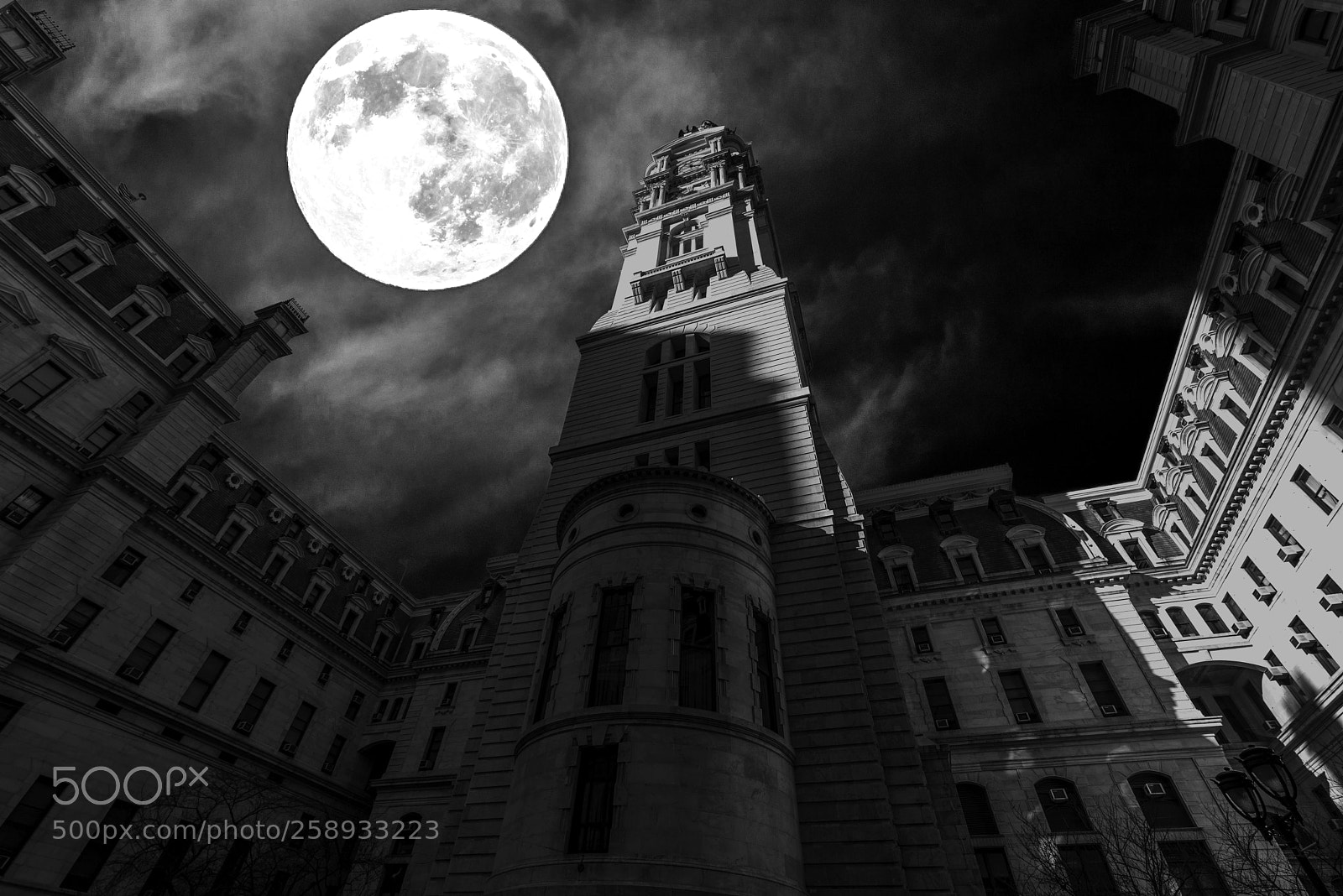 Nikon D750 sample photo. City hall photography