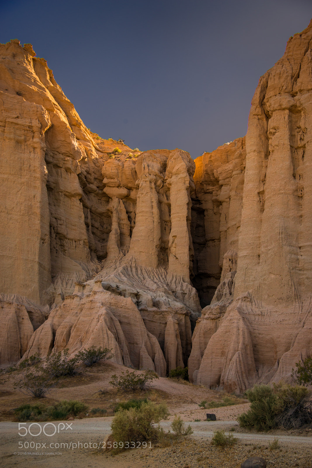 Nikon D800 sample photo. Red rocks photography