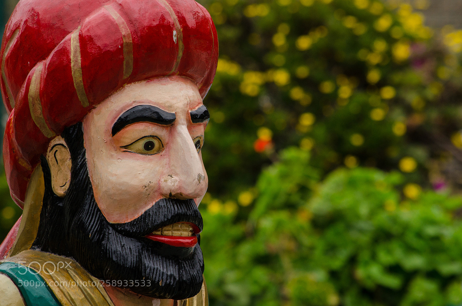 Nikon D5100 sample photo. The pirate photography
