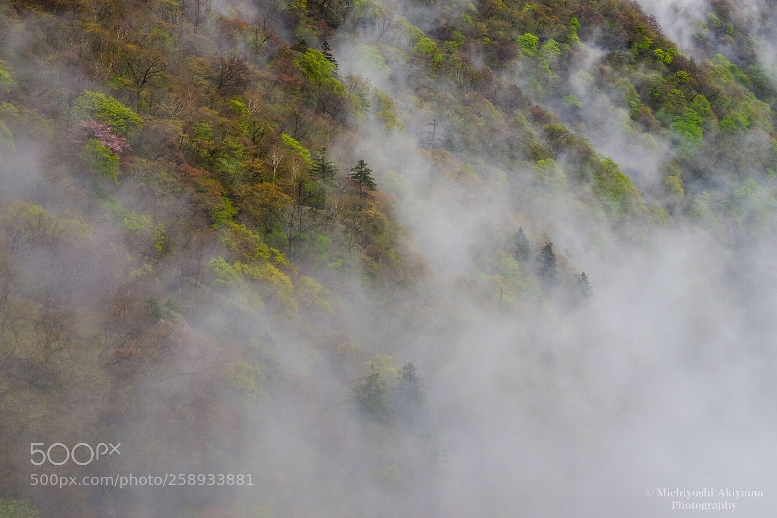 Fujifilm X-T1 sample photo. Foggy photography