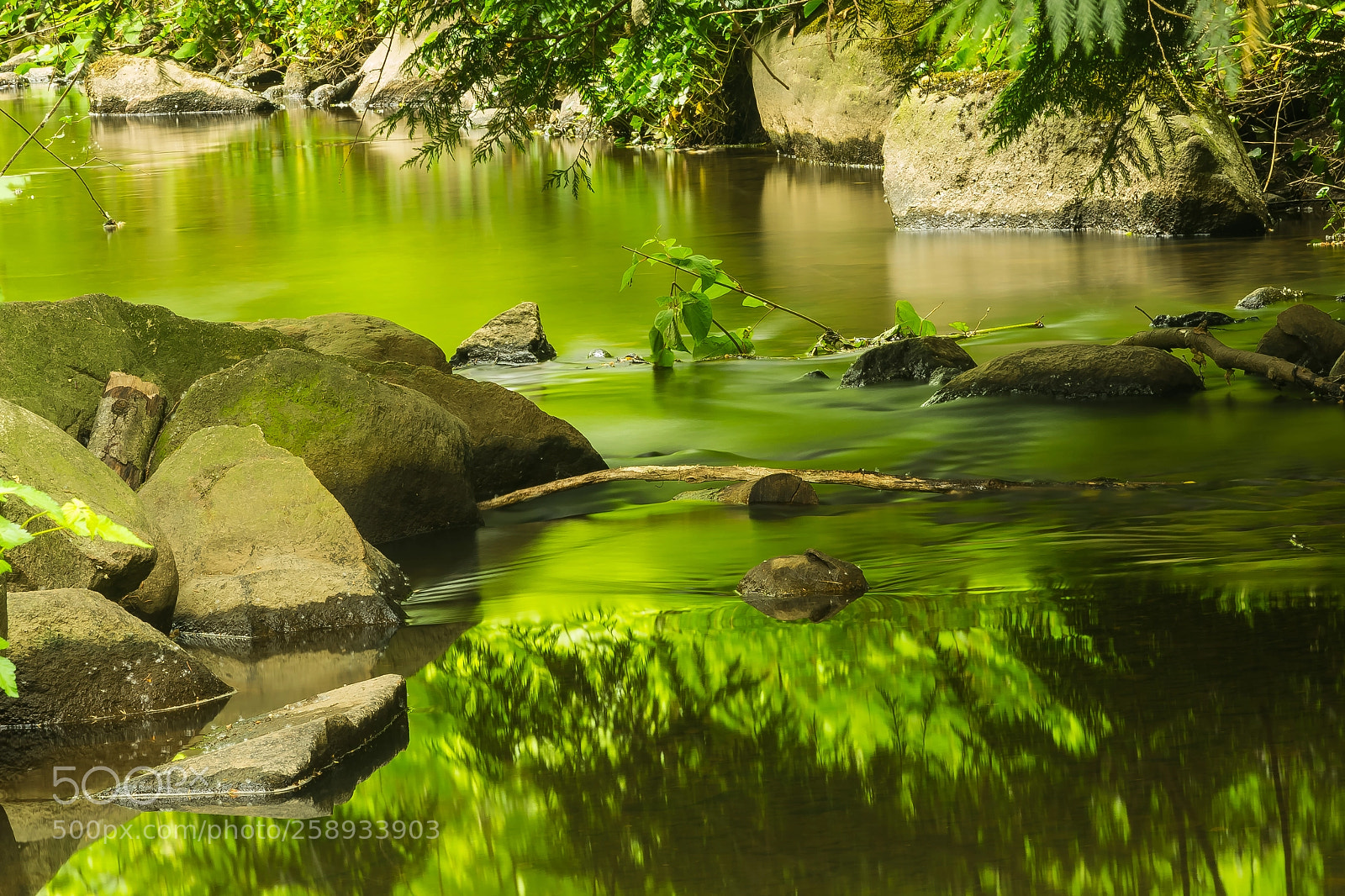 Nikon D810 sample photo. Verdant creek at warner photography