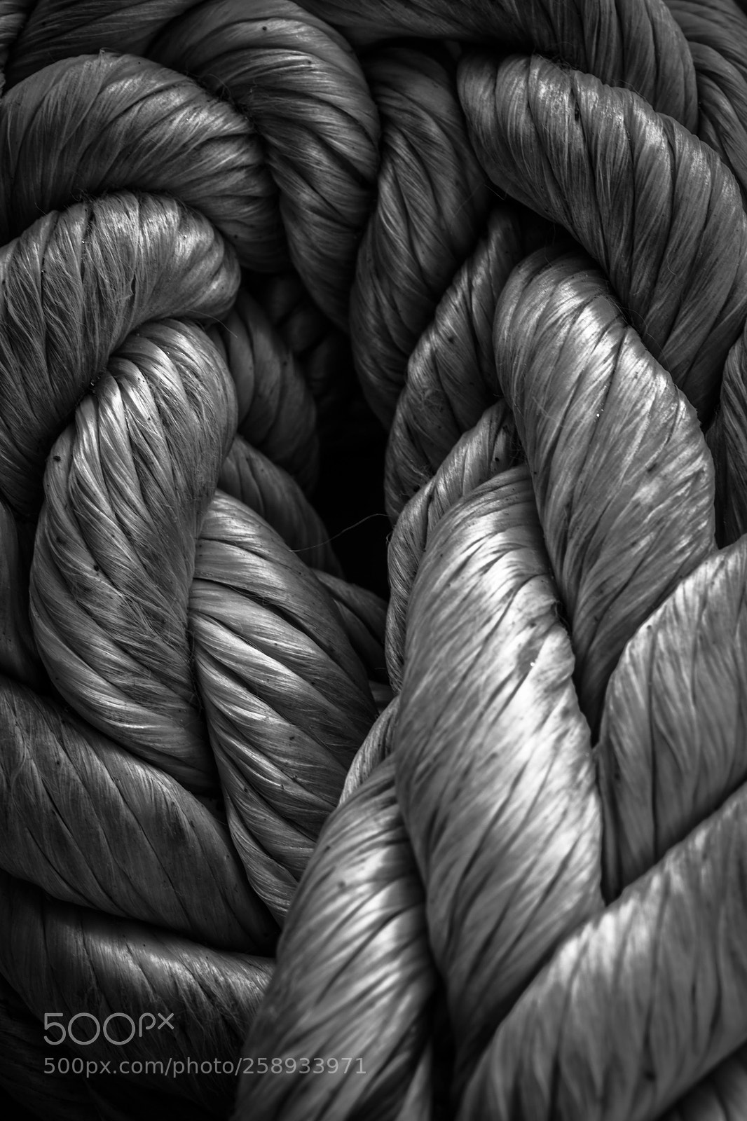 Nikon D750 sample photo. Rope photography