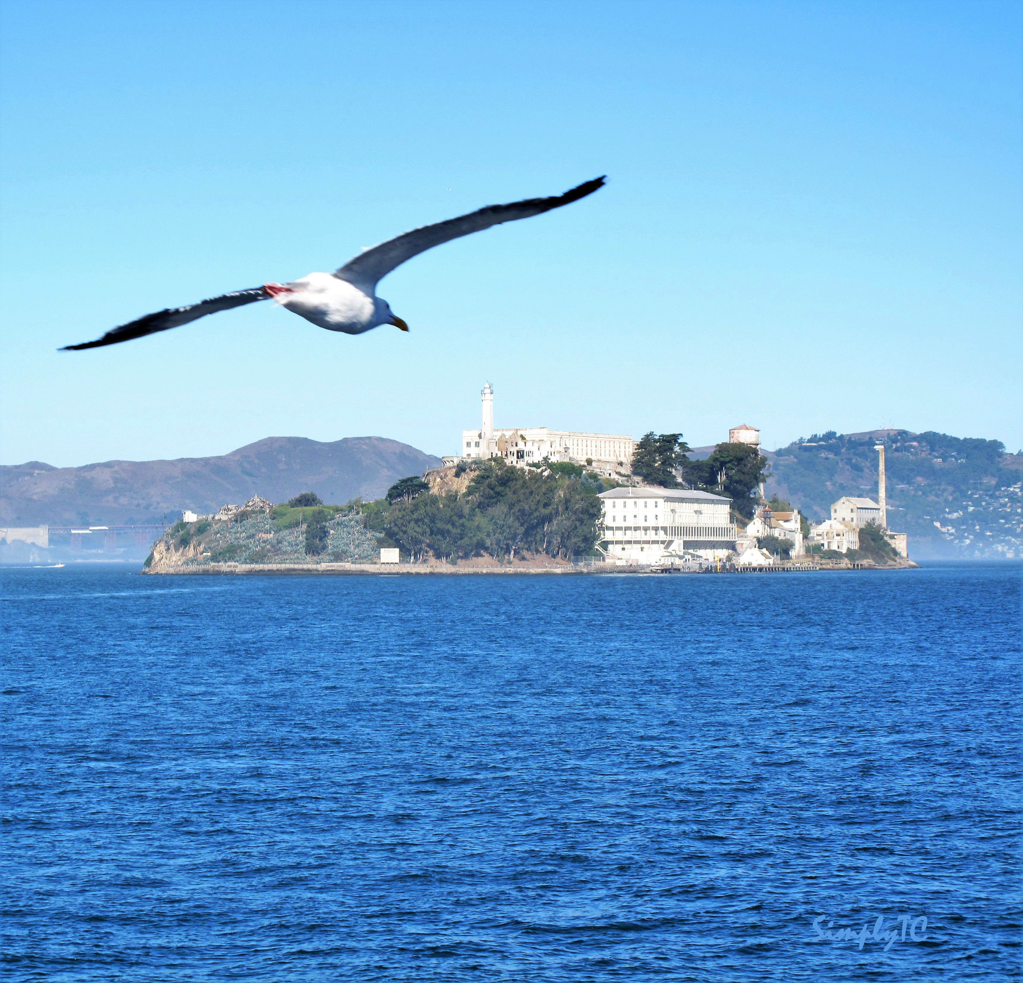 Canon PowerShot G10 sample photo. Free flight from alcatraz photography