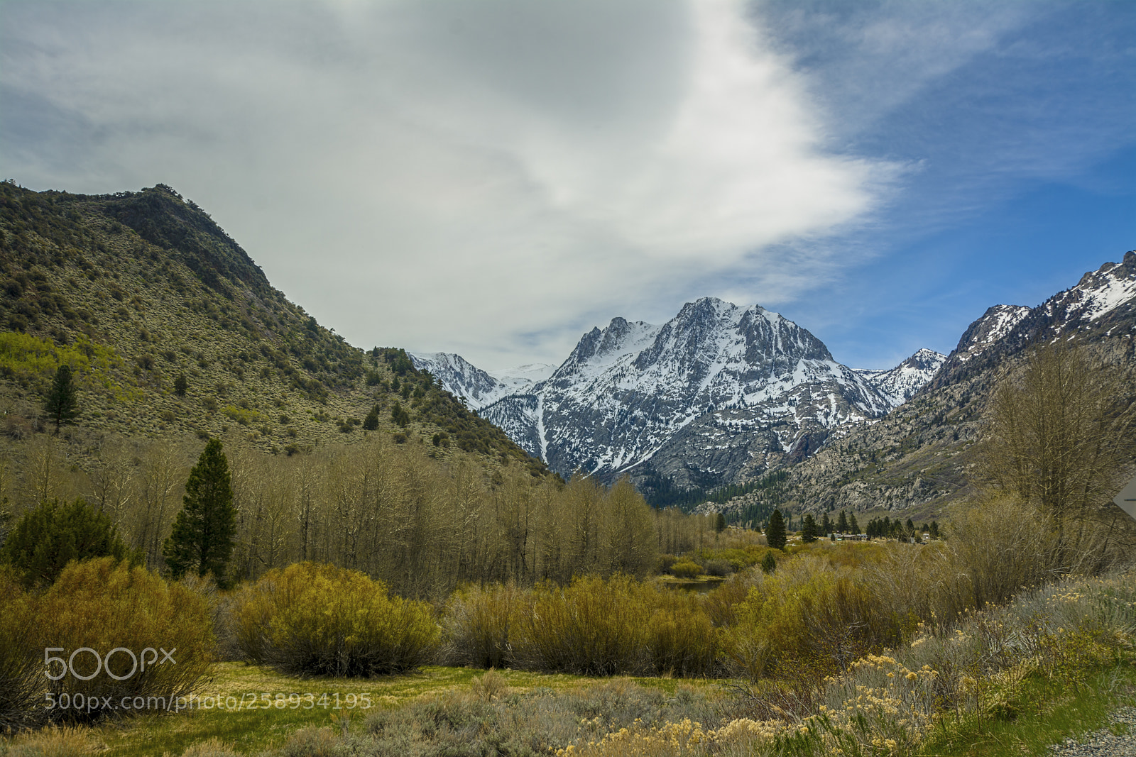 Nikon D7100 sample photo. Spring in california photography
