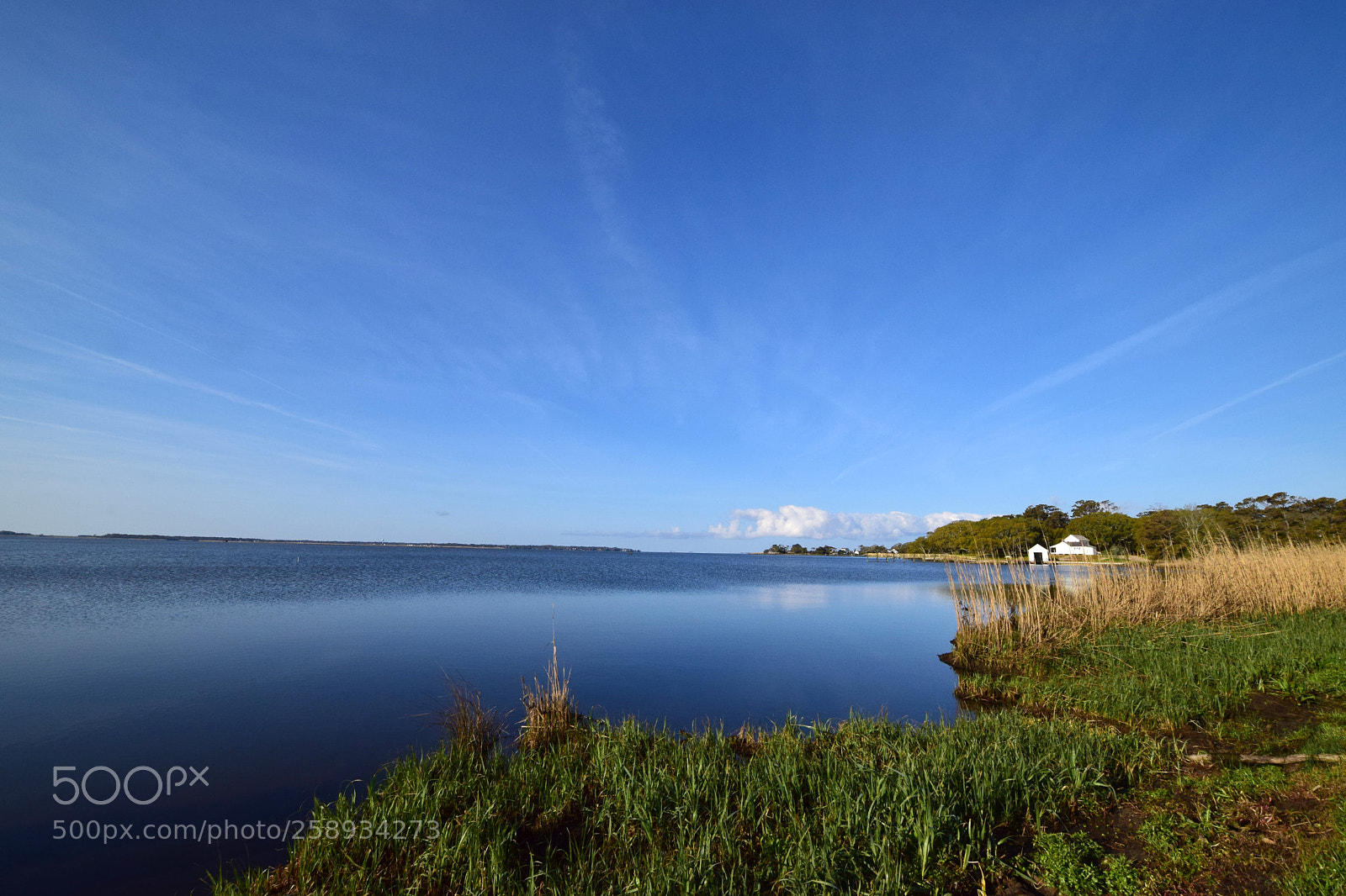 Nikon D5300 sample photo. Morning marsh photography