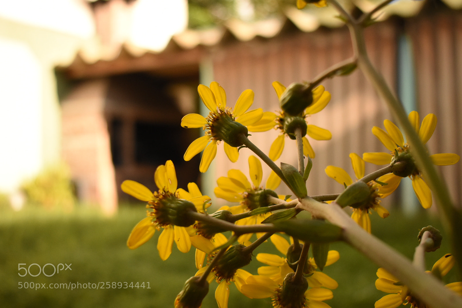 Nikon D3400 sample photo. Untitled photography