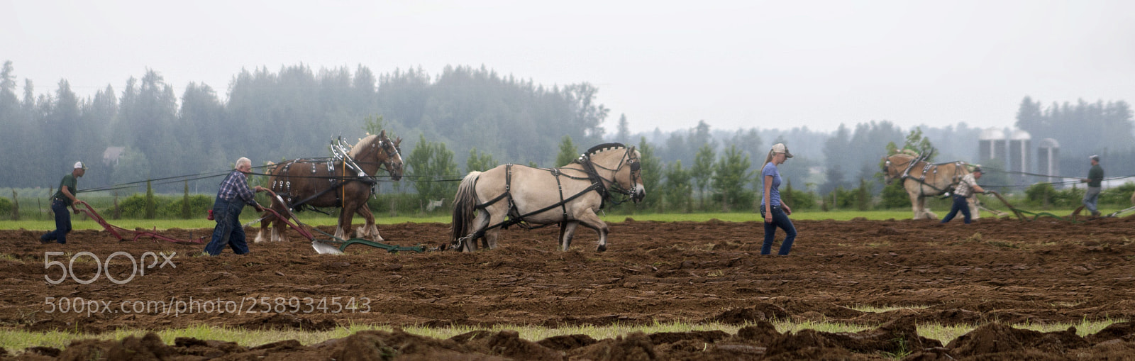 Canon EOS 30D sample photo. Plowing photography