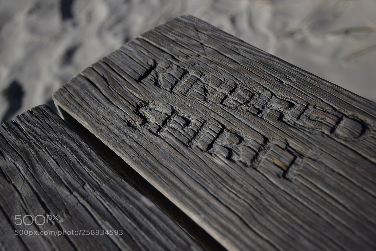 Nikon D5300 sample photo. Untitled photography