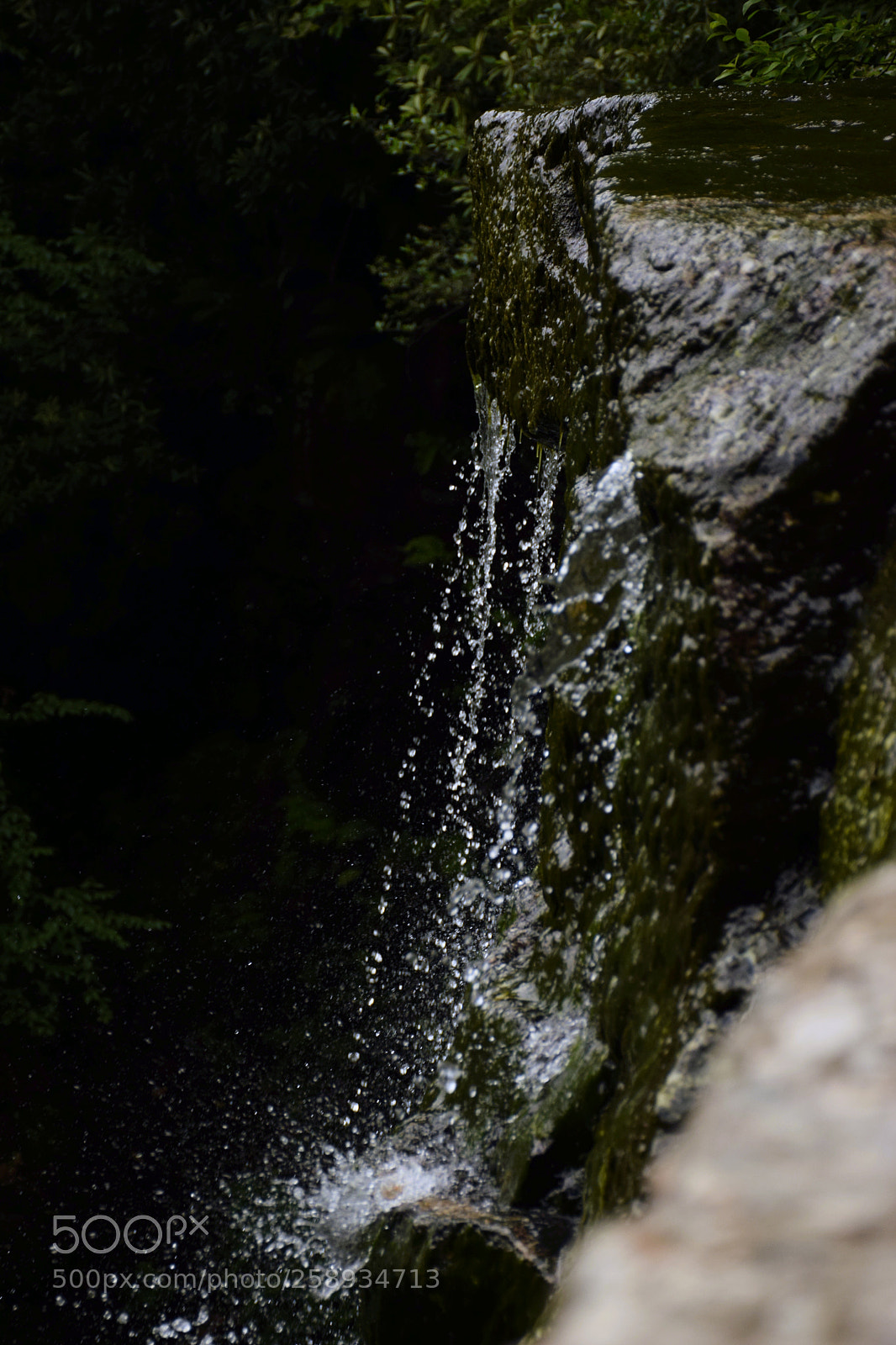 Nikon D5300 sample photo. Untitled photography