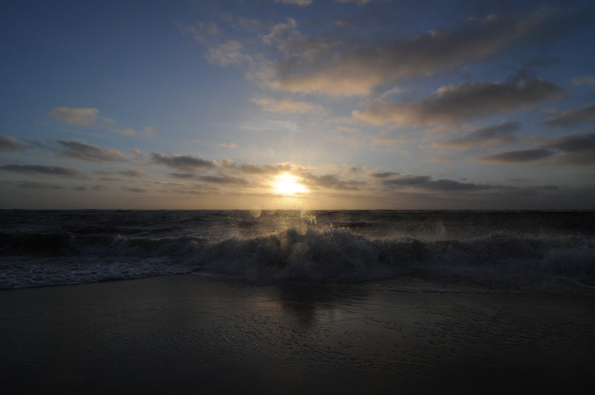 Nikon D300 sample photo
