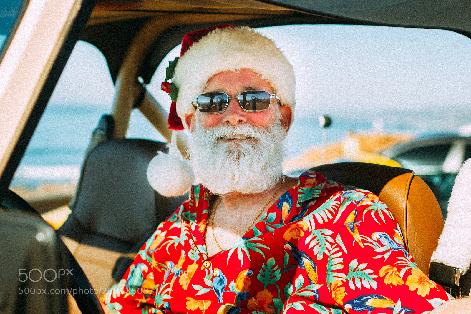 Canon EOS 550D (EOS Rebel T2i / EOS Kiss X4) sample photo. Santa claus photography