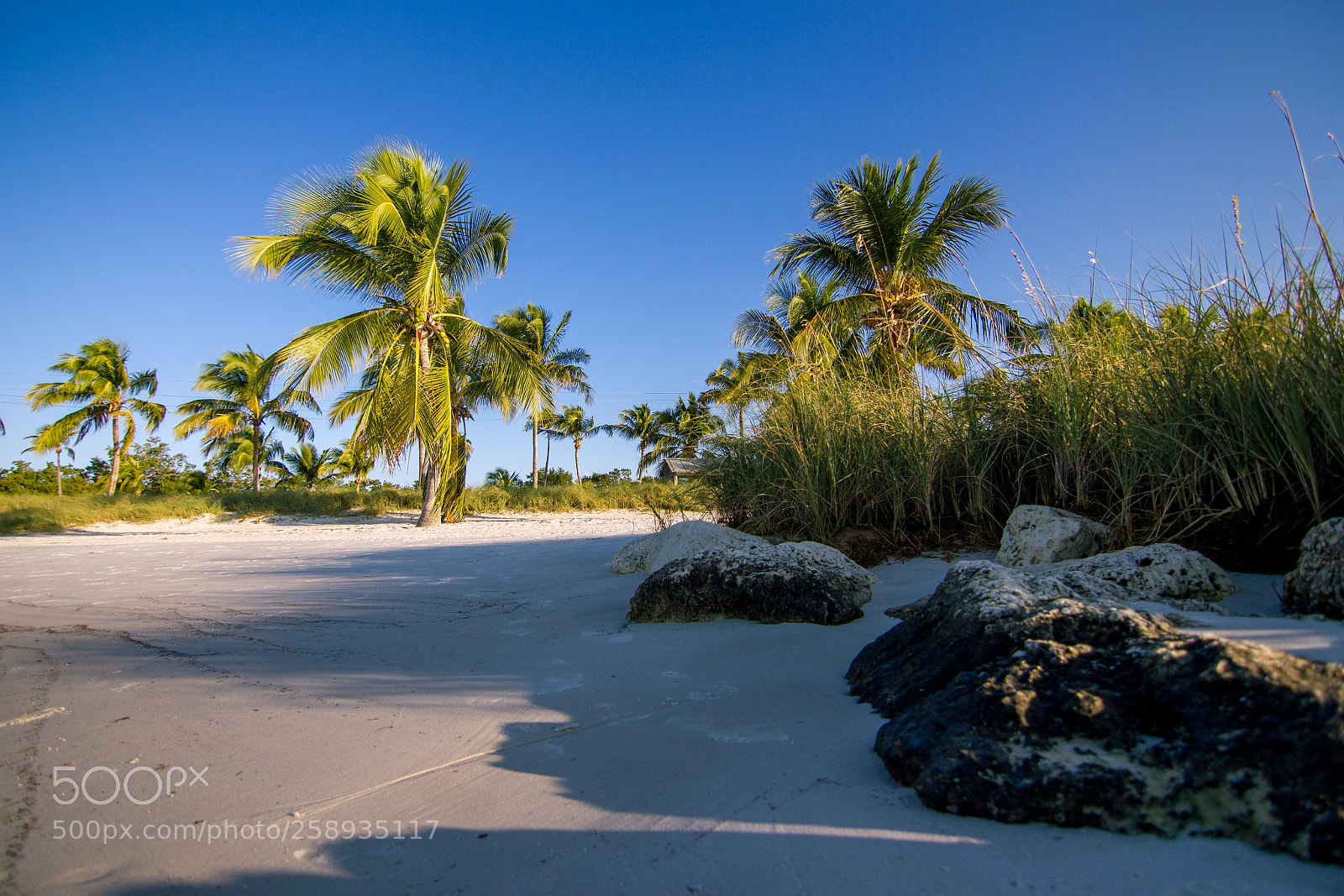 Canon EOS 550D (EOS Rebel T2i / EOS Kiss X4) sample photo. Smathers beach, key west photography
