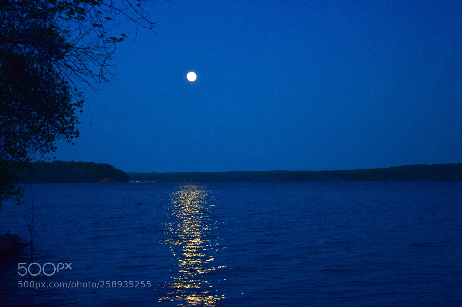 Nikon D5300 sample photo. Moonrise ii photography