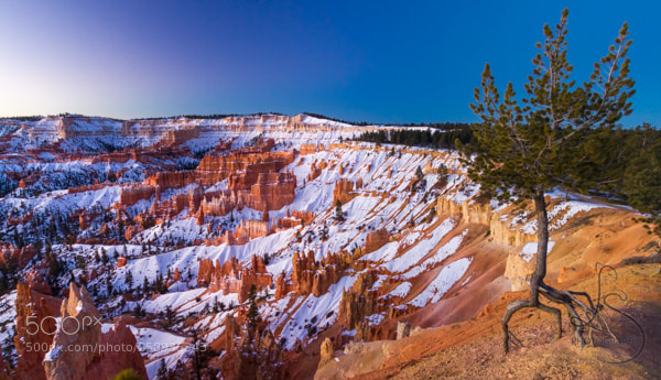Canon EOS 7D sample photo. Perseverance on the hoodoos photography