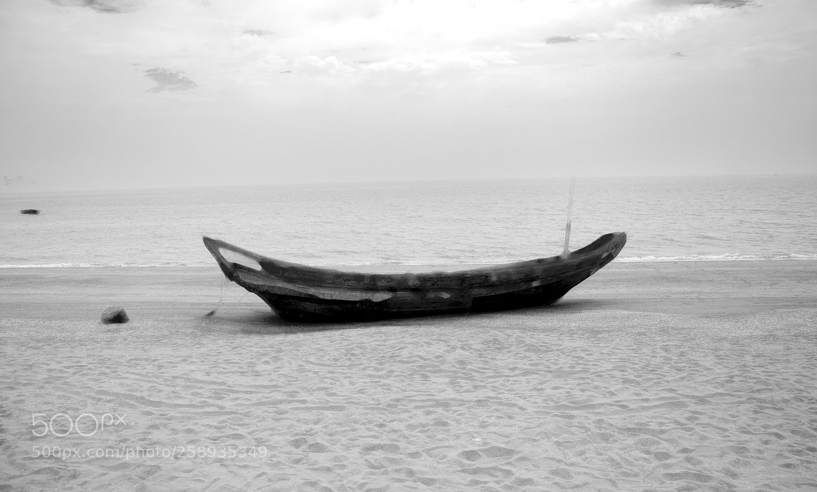 Nikon D90 sample photo. Untitled photography