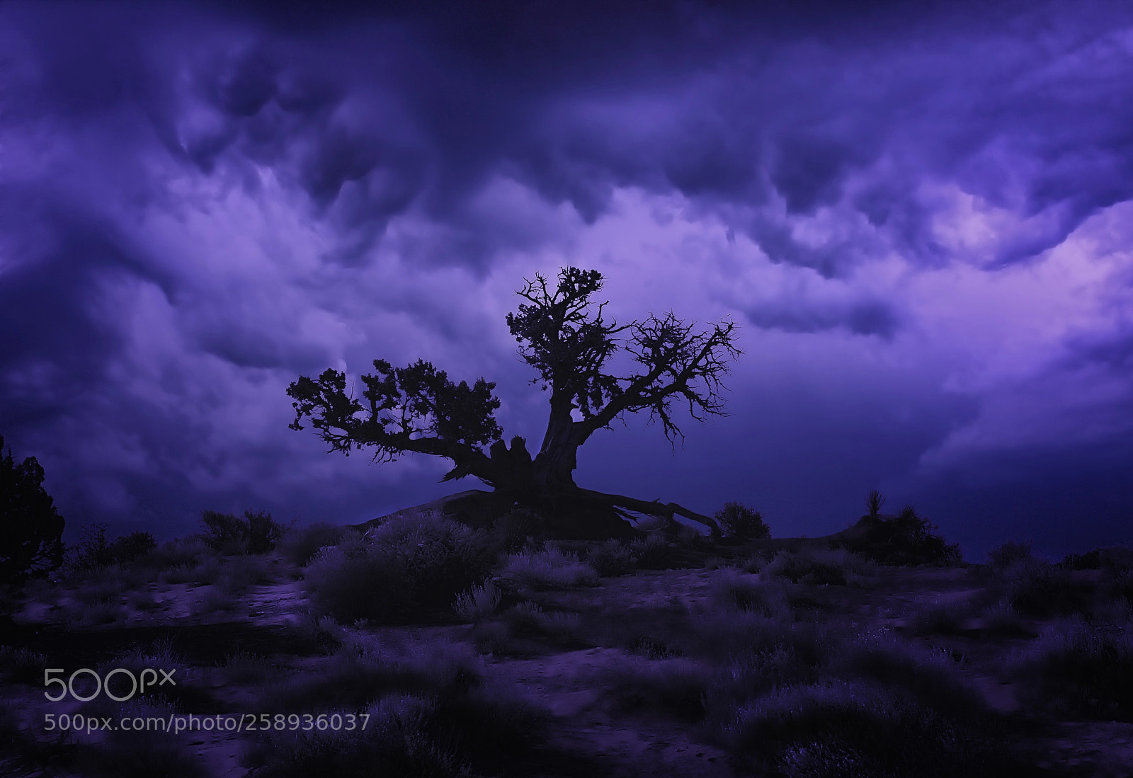 Nikon D750 sample photo. The storm is coming photography