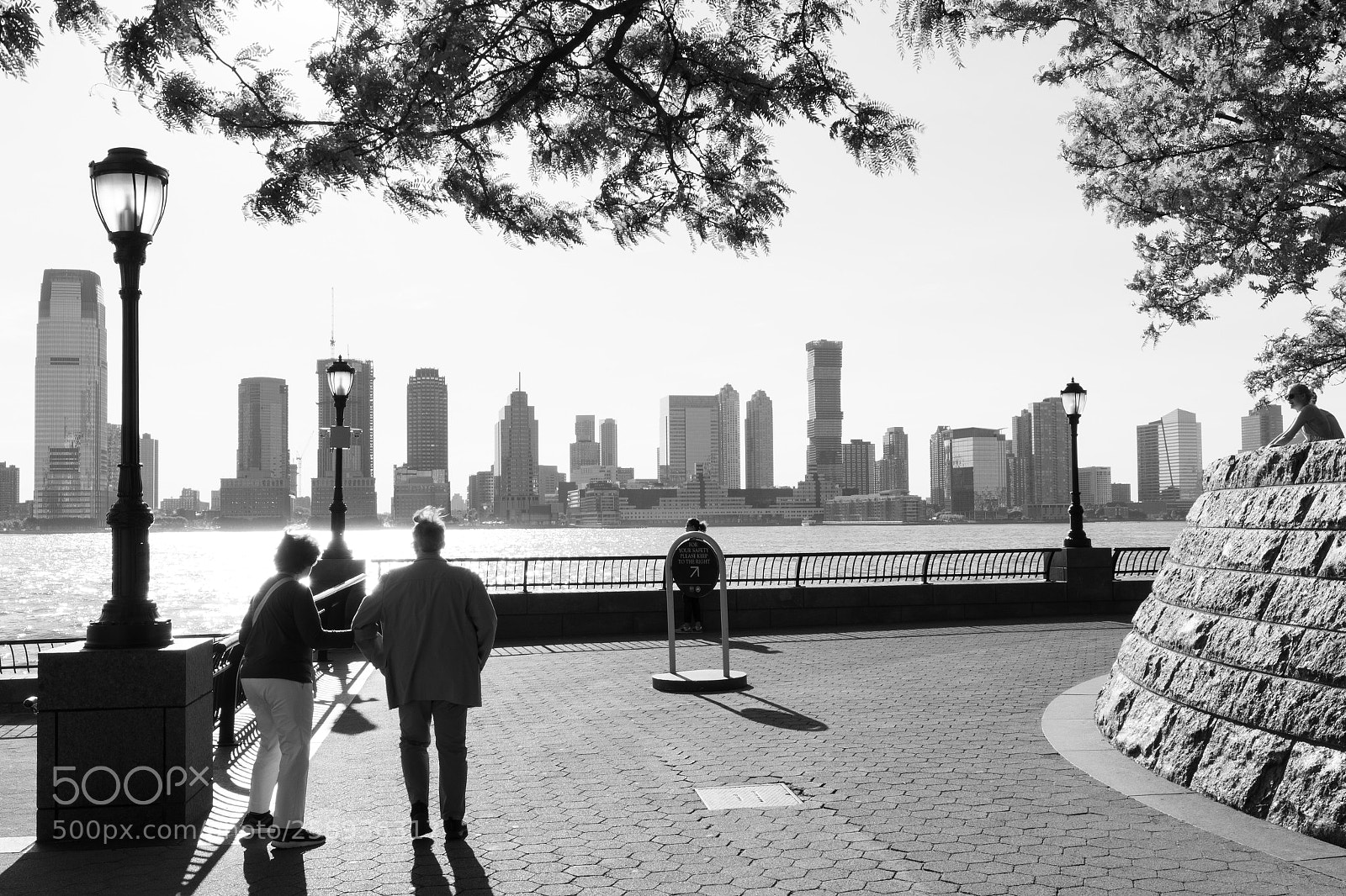 Nikon D500 sample photo. Untitled photography