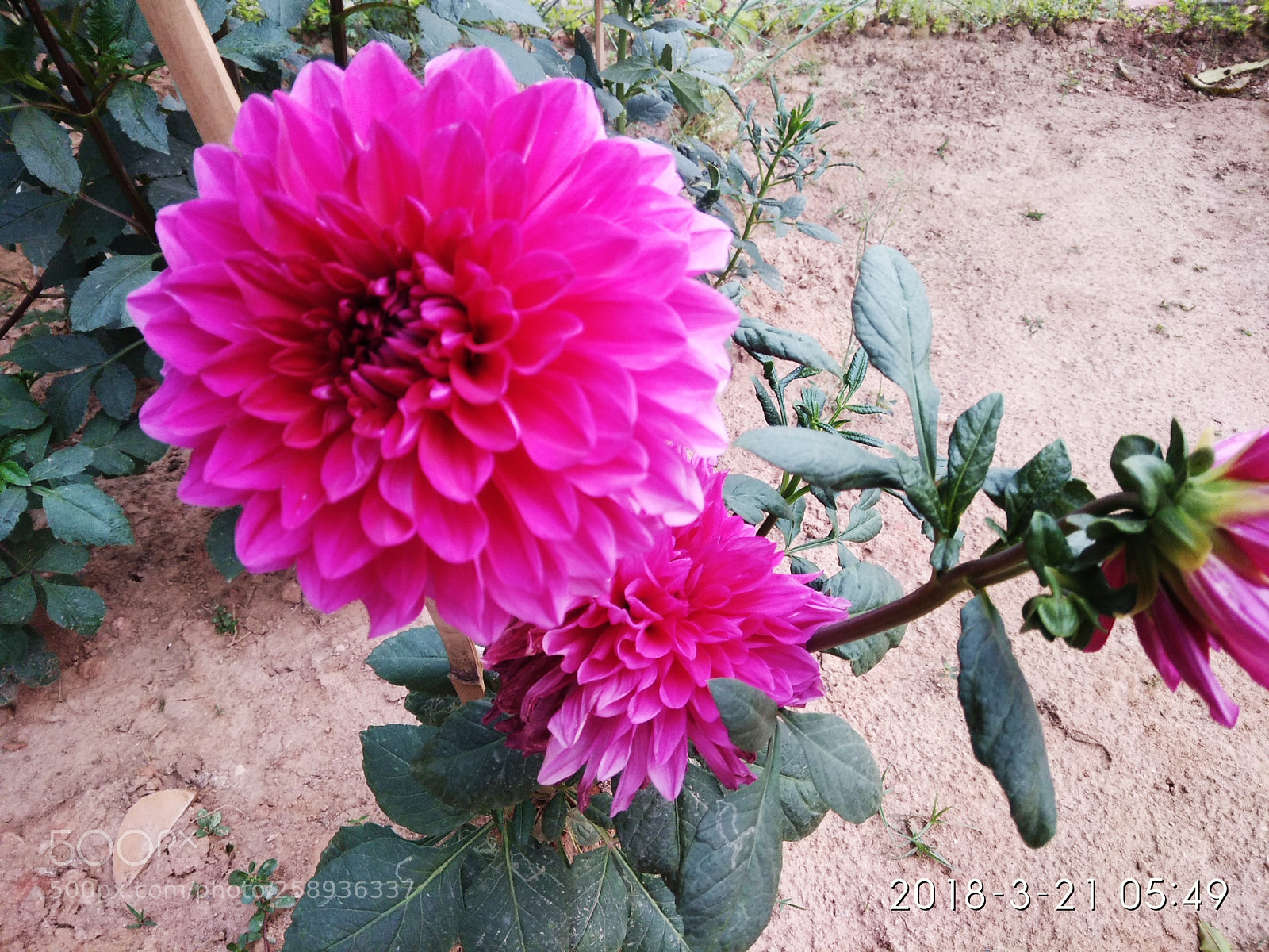 Xiaomi Redmi Note 4 sample photo. Untitled photography