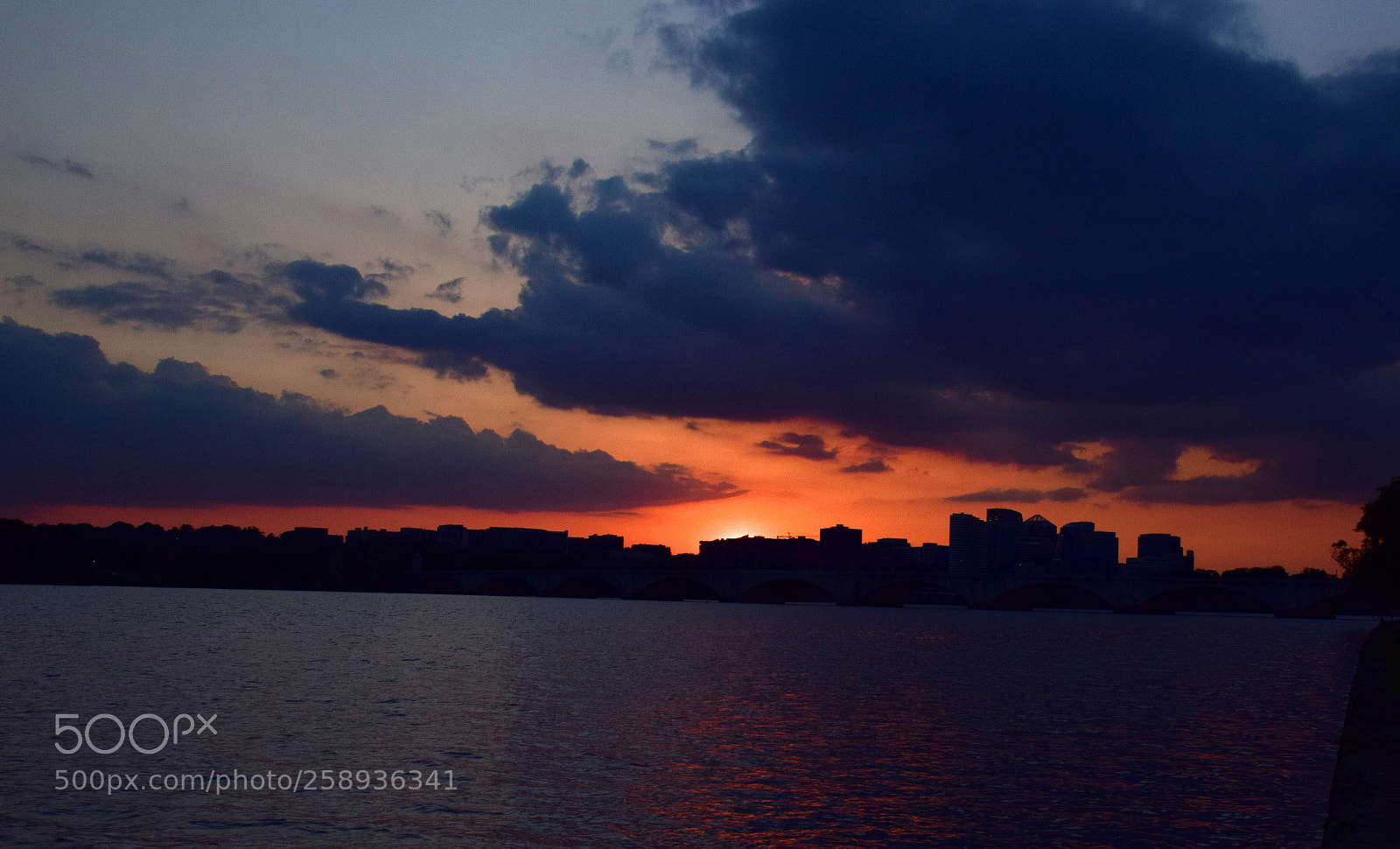Nikon D5300 sample photo. Rosy rosslyn photography