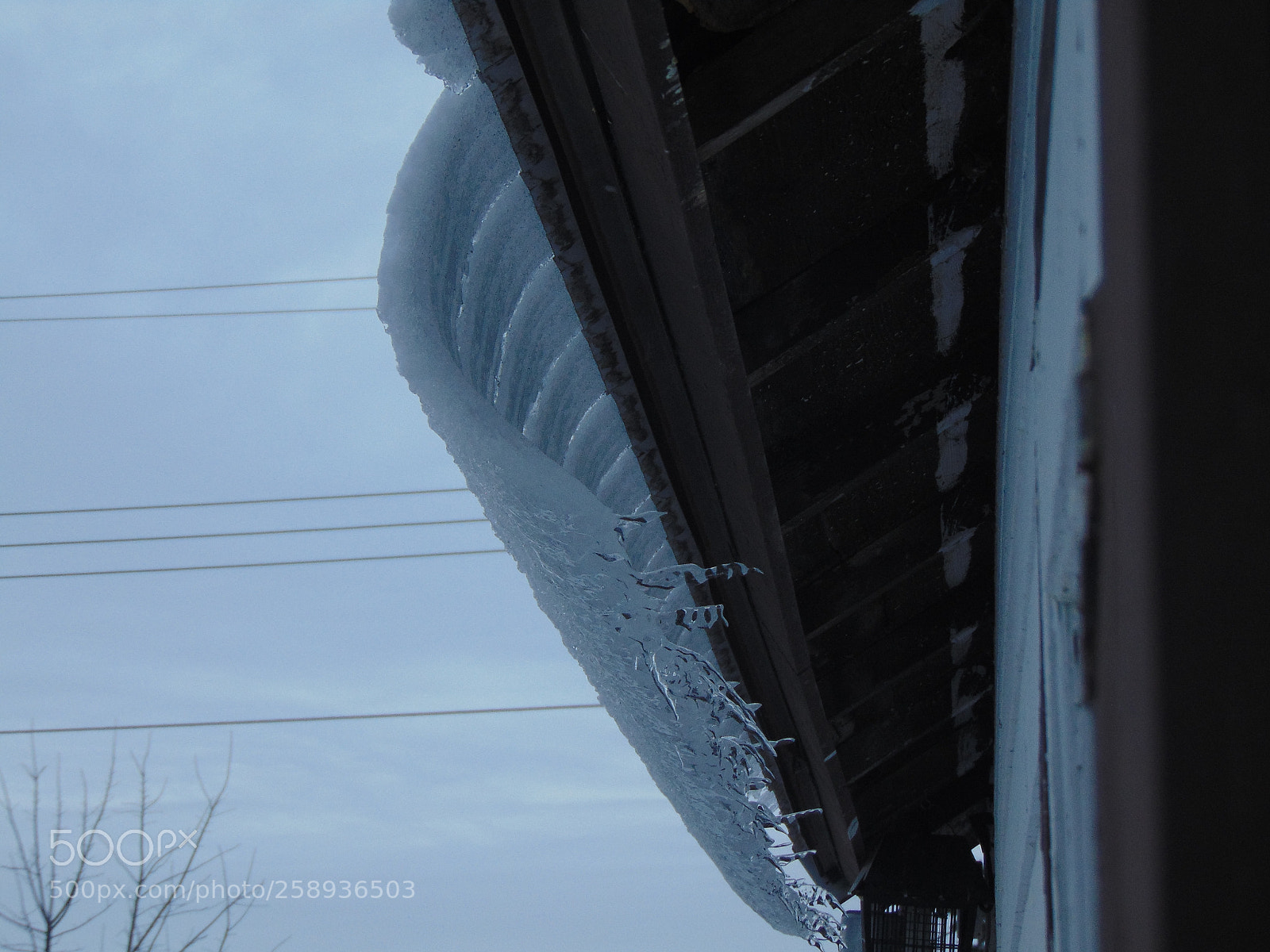 Sony Cyber-shot DSC-H300 sample photo. 007.jpg photography