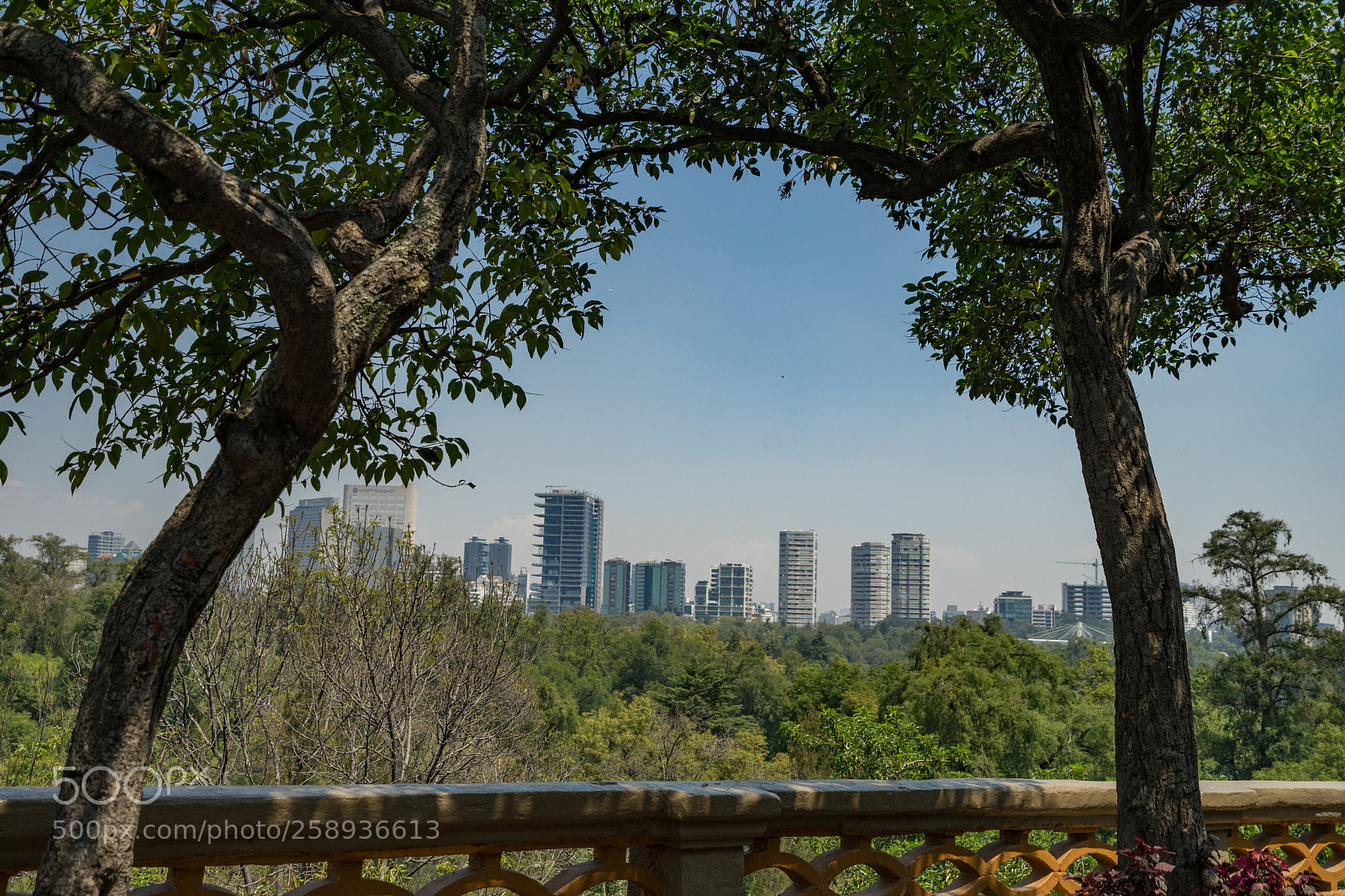 Sony a7 II sample photo. Mexico city skyline from photography