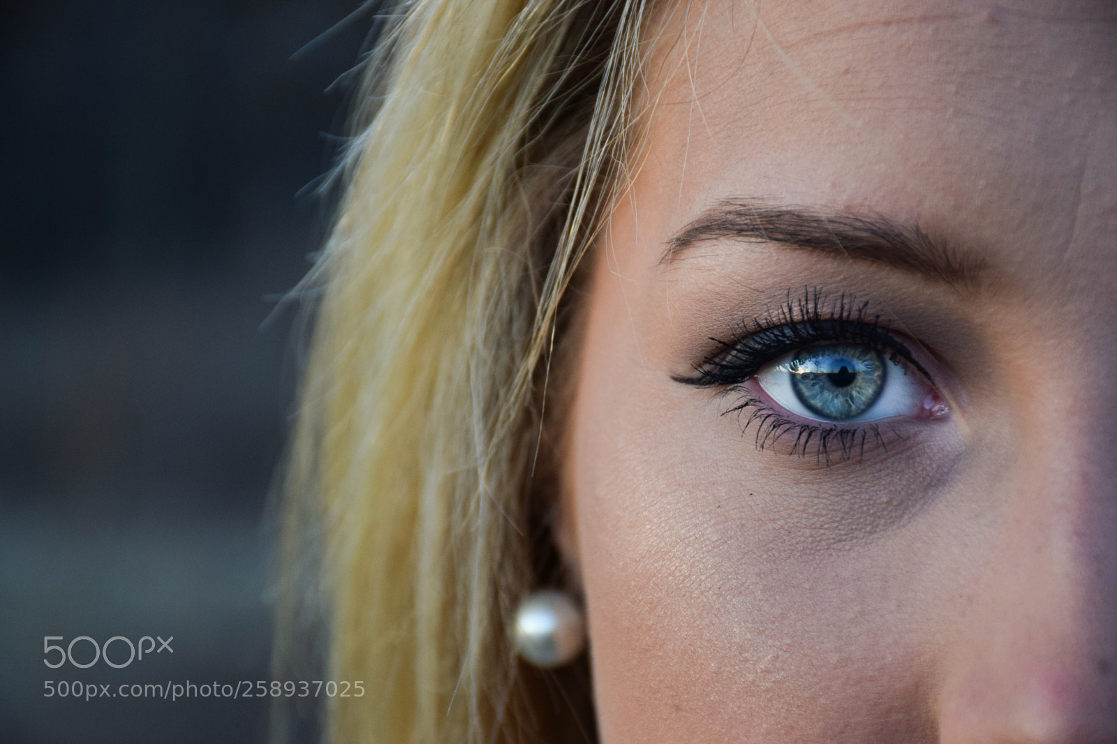 Nikon D5300 sample photo. Untitled photography