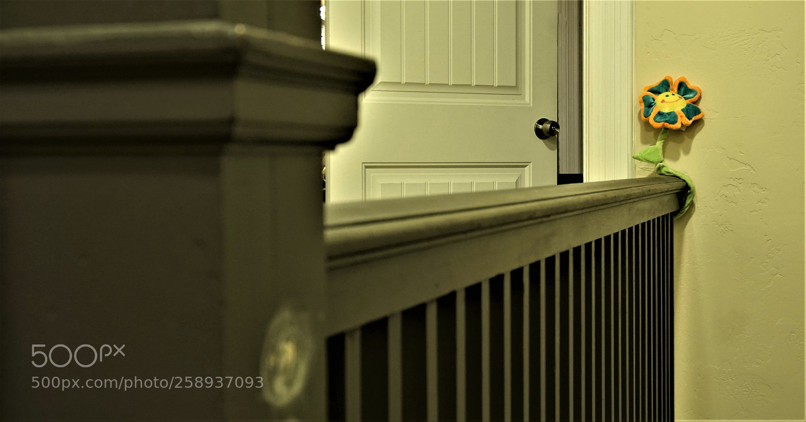 Sony a6000 sample photo. The door photography