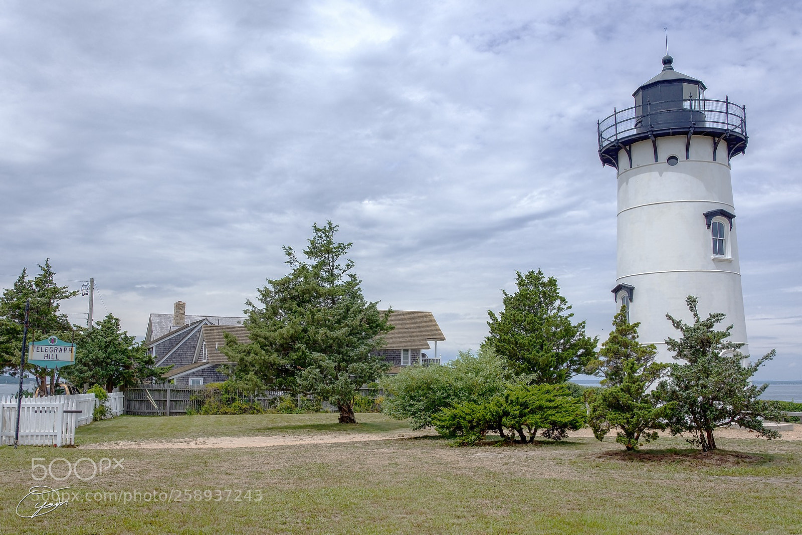 Nikon D7200 sample photo. Oyamam_20170815-125540zkrx1 photography