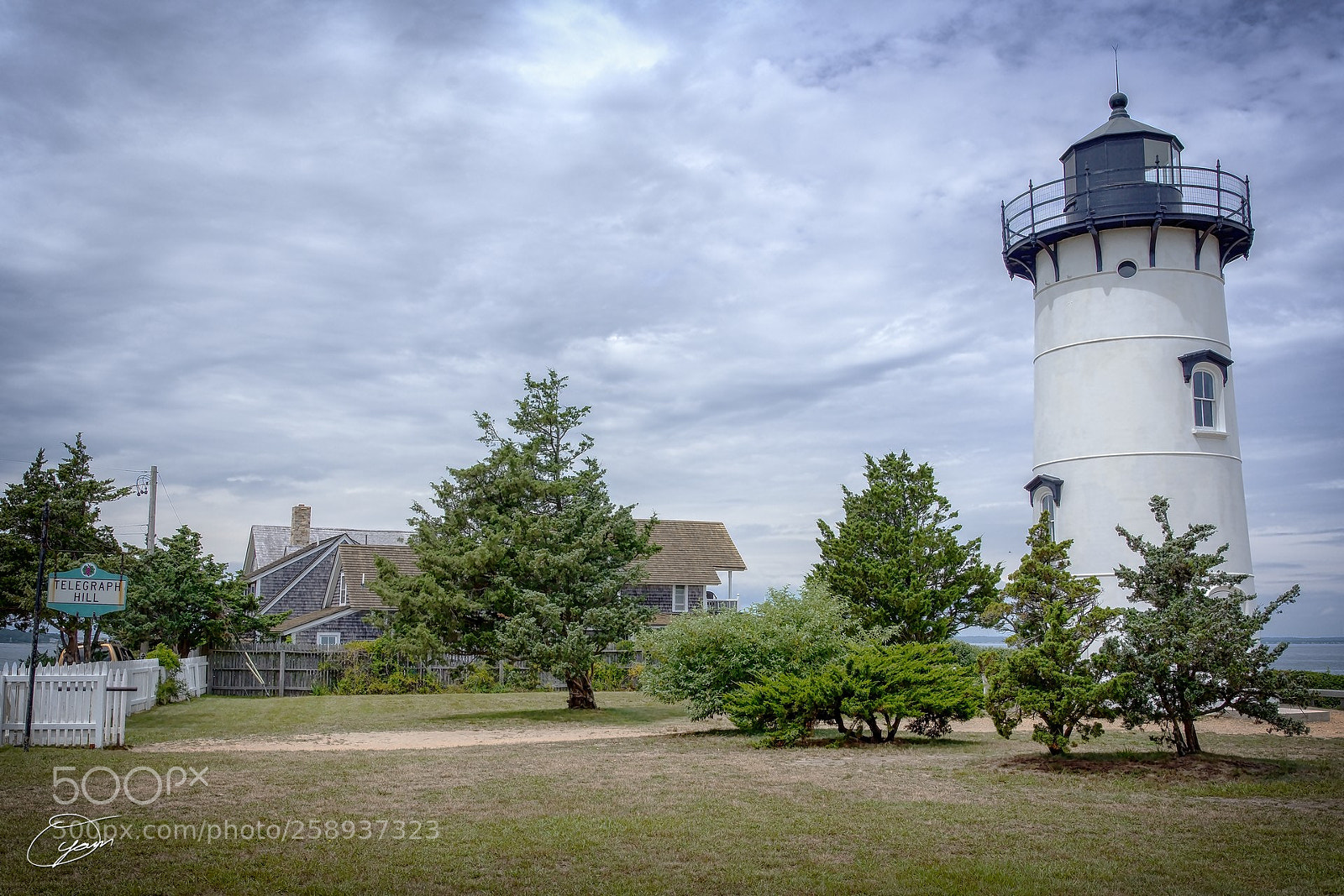Nikon D7200 sample photo. Oyamam_20170815-125540zkrxv1 photography