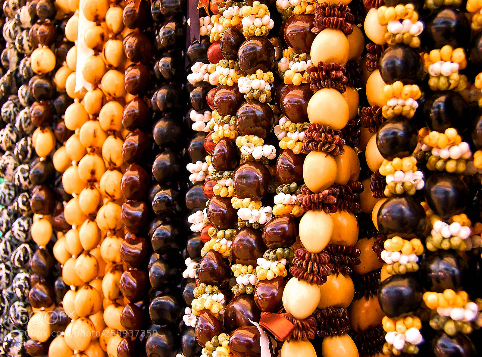 Nikon D50 sample photo. Print ready for retail photography