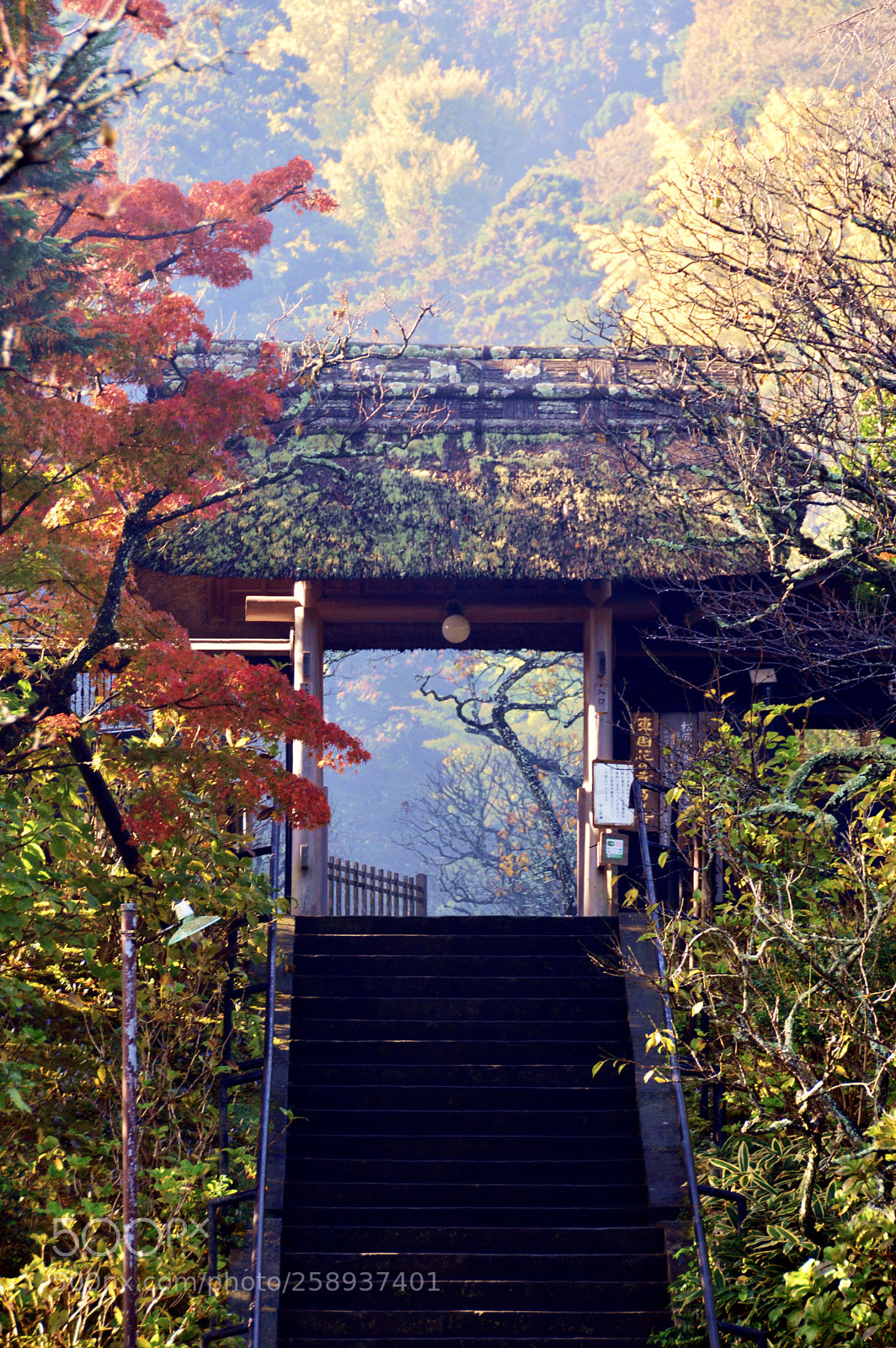 Nikon D3200 sample photo. Tokei-ji gate photography