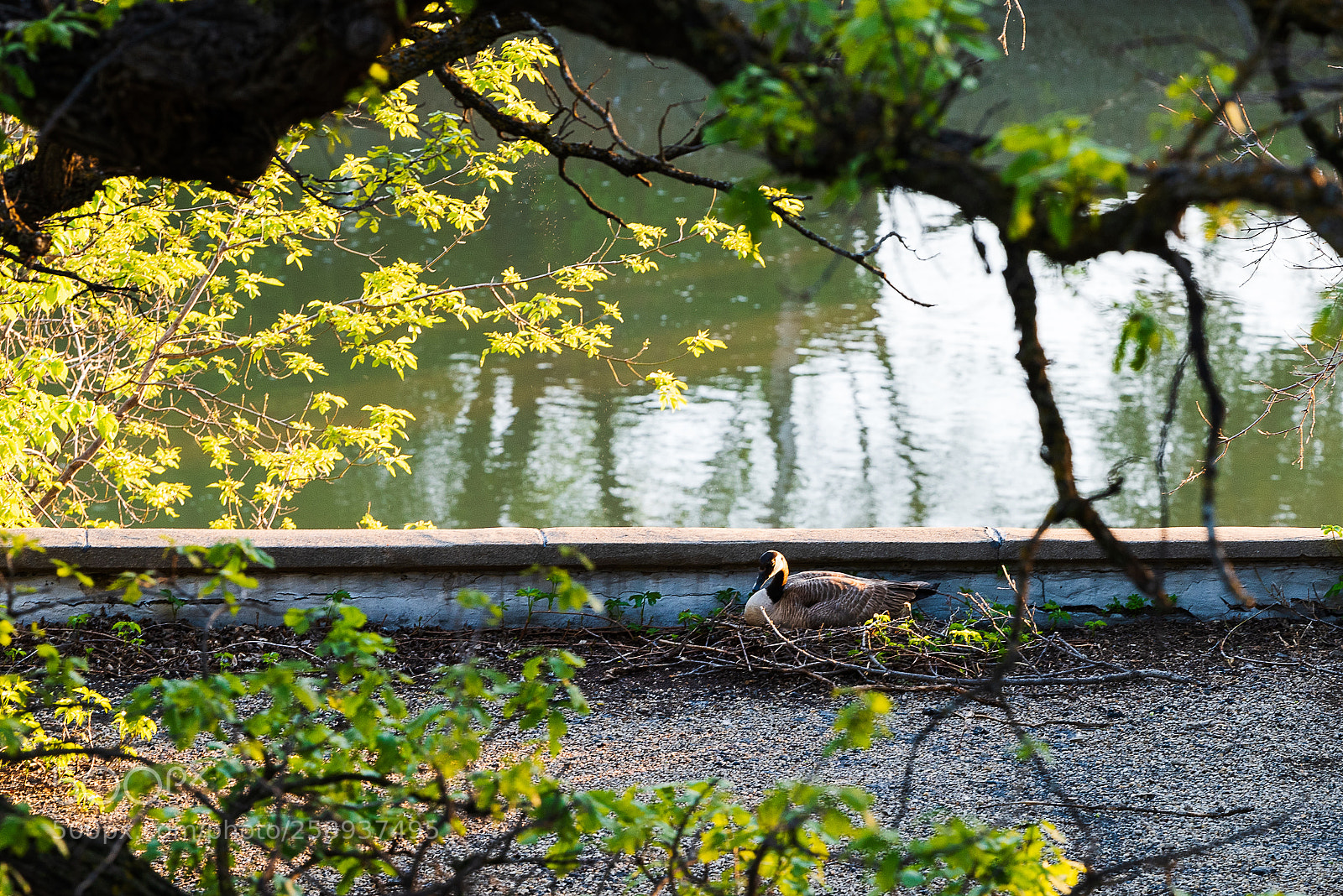 Nikon D810 sample photo. Bad choices photography