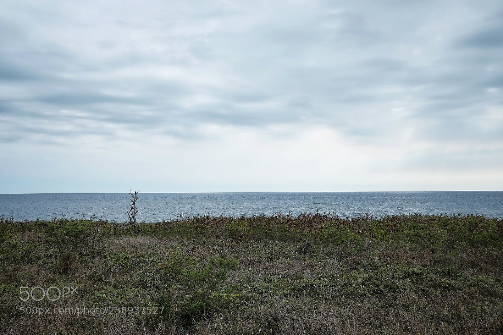 Fujifilm X-T1 sample photo. Peaceful photography
