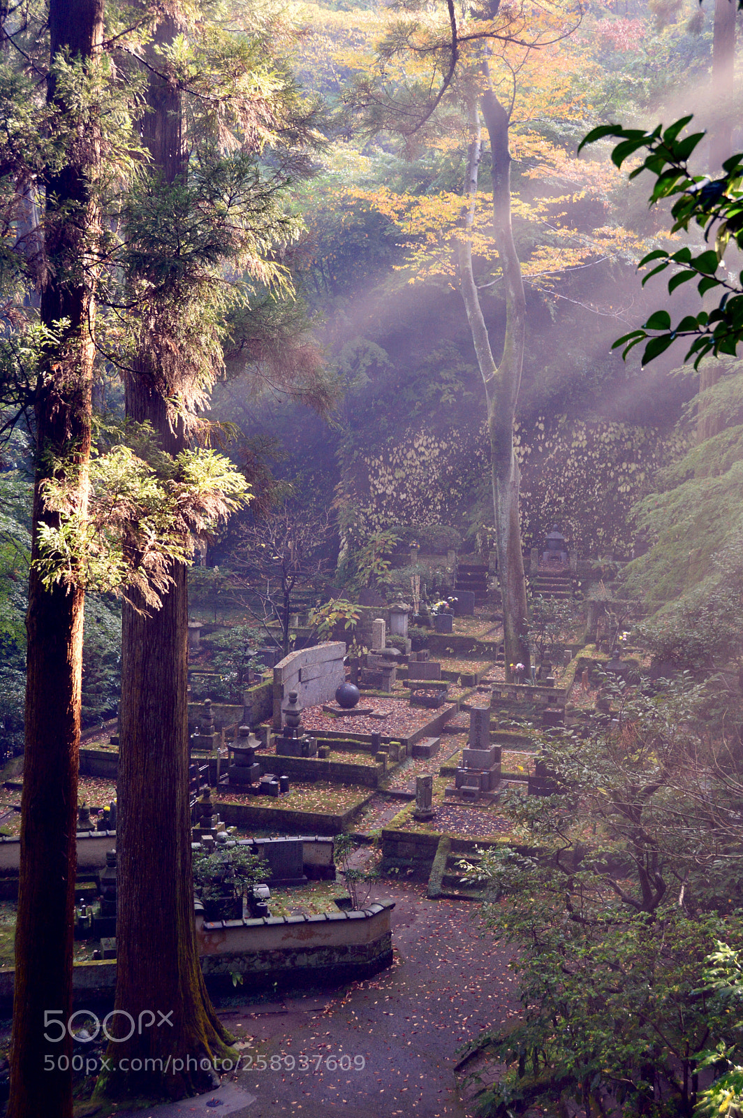 Nikon D3200 sample photo. Tokei-ji, kamakura photography