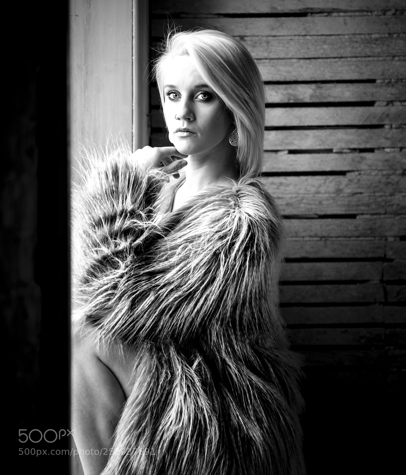 Nikon D750 sample photo. Window light photography