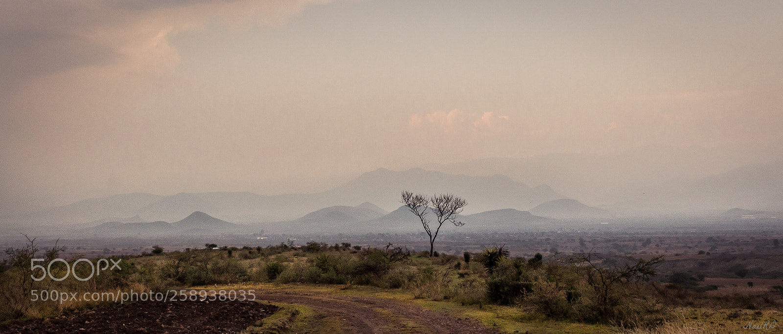 Canon EOS 700D (EOS Rebel T5i / EOS Kiss X7i) sample photo. Bruma en el valle photography
