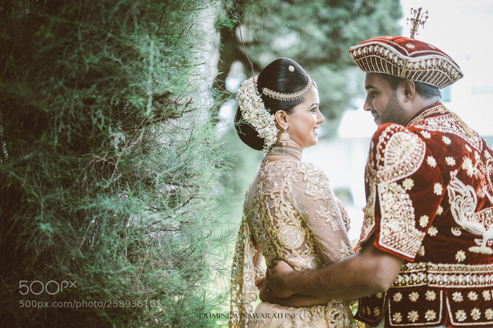 Canon EOS 5D Mark IV sample photo. 1.jpg photography